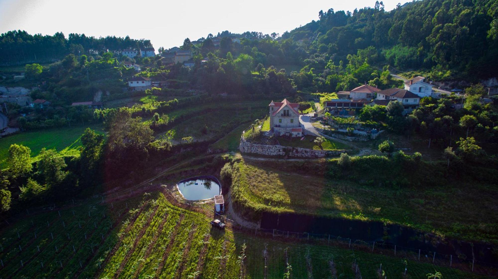 Вилла Quinta Do Bairro Виейра-ду-Минью Экстерьер фото