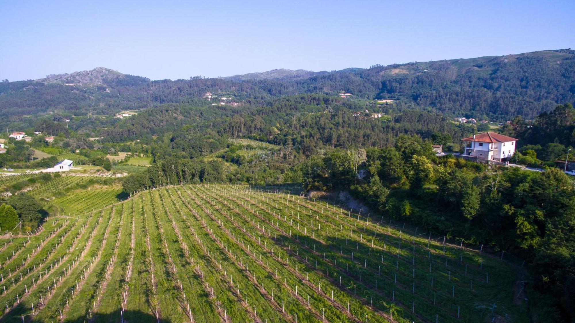Вилла Quinta Do Bairro Виейра-ду-Минью Экстерьер фото
